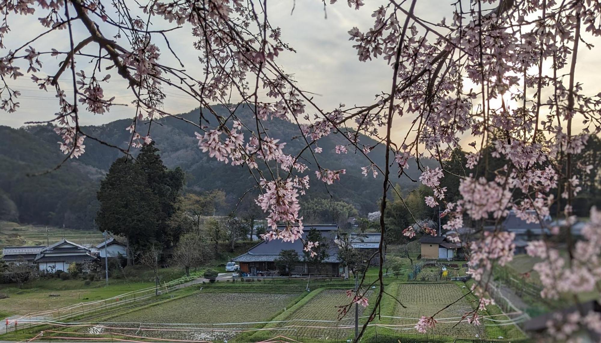 一汁一菜の宿　ちゃぶダイニング Ichiju Issai No Yado Chabu Dining Unforgettable Farmstay Experience In Deep Kyoto Ayabe ภายนอก รูปภาพ