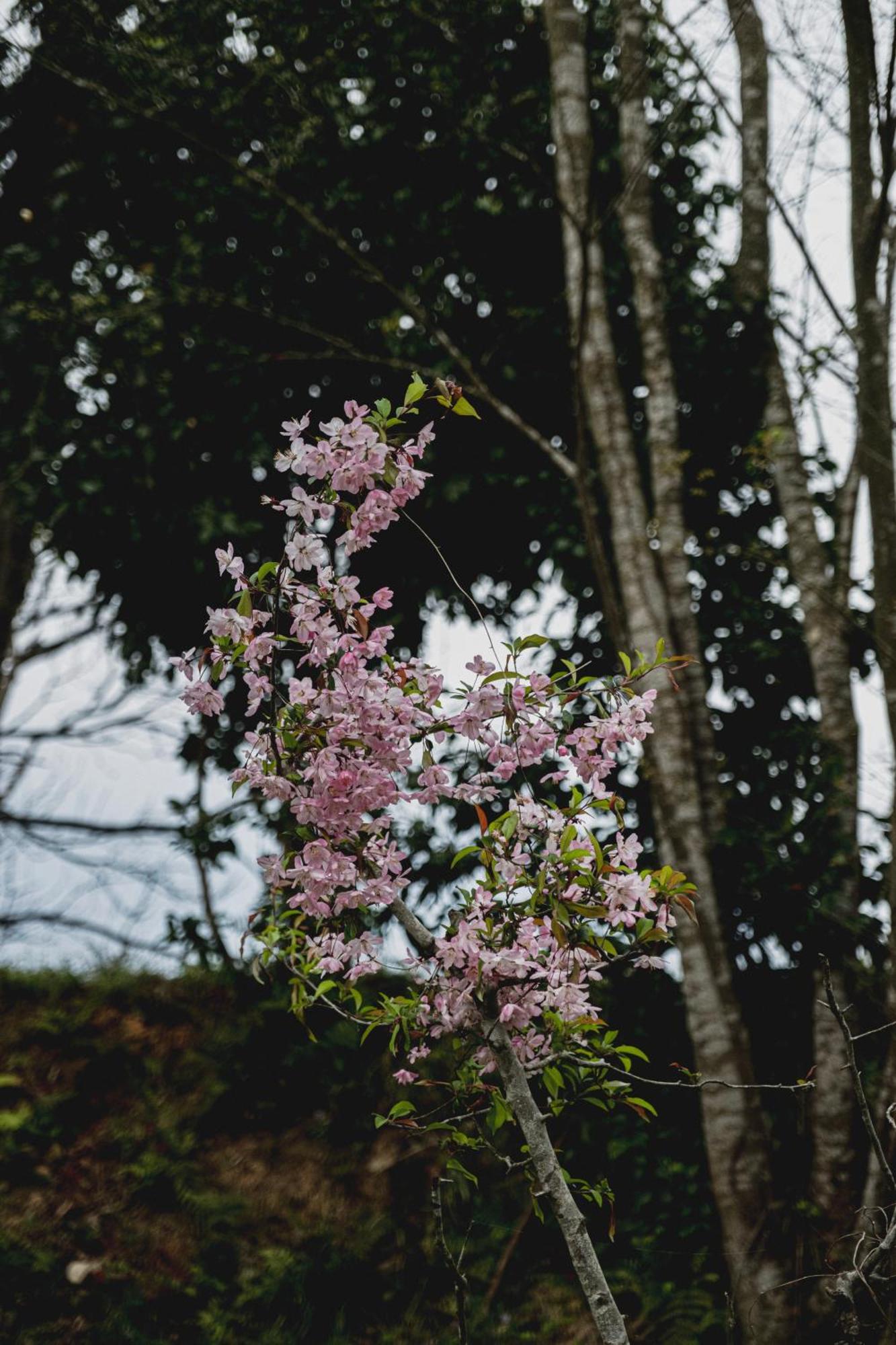 一汁一菜の宿　ちゃぶダイニング Ichiju Issai No Yado Chabu Dining Unforgettable Farmstay Experience In Deep Kyoto Ayabe ภายนอก รูปภาพ